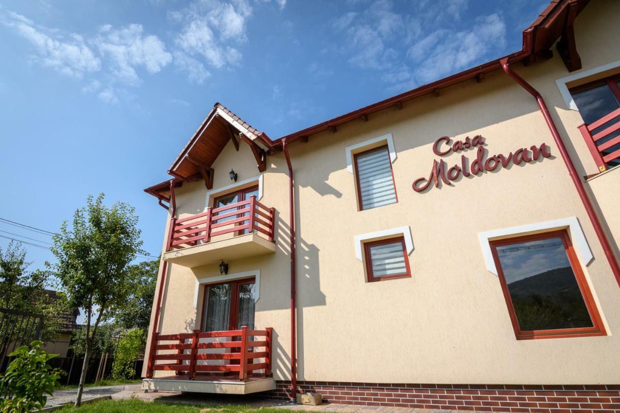 Casa Moldovan Sovata Exteriör bild